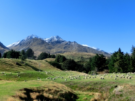queenstown (20)